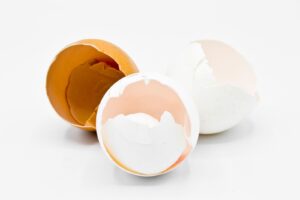 Beneficios sorprendentes de la cáscara de huevo en el crecimiento de las plantas beneficios-sorprendentes-de-la-cascara-de-huevo-en-el-crecimiento-de-las-plantas