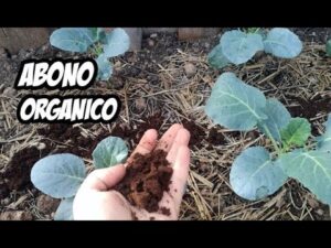 como-preparar-abono-de-forma-rapida-para-tus-cultivos-con-ayuda-de-tu-tractor