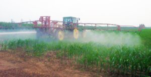 conoce-la-capacidad-de-produccion-de-maiz-por-hectarea-y-como-los-tractores-pueden-ser-una-herramienta-clave-en-la-cosecha