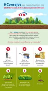 consejos-practicos-para-evitar-el-apelmazamiento-de-la-tierra-en-tus-cultivos