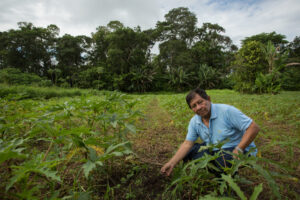 Descubre las regiones con tierras negras para el cultivo de tus tractores descubre-las-regiones-con-tierras-negras-para-el-cultivo-de-tus-tractores