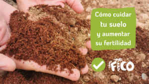 Descubre los secretos para lograr mayor fertilidad en tus cultivos: ¿Qué le da mayor fertilidad a la tierra? descubre-los-secretos-para-lograr-mayor-fertilidad-en-tus-cultivos-que-le-da-mayor-fertilidad-a-la-tierra