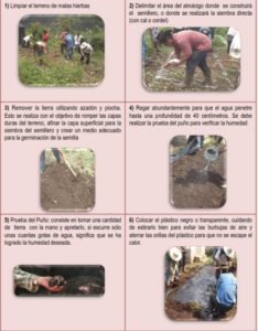 desinfeccion-de-tierras-para-un-cultivo-saludable-metodos-y-recomendaciones