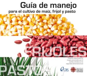 guia-completa-para-sembrar-una-hectarea-cultivos-recomendados-y-consejos-utiles