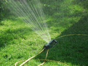 la-importancia-de-saber-cuando-regar-despues-de-abonar-consejos-y-recomendaciones